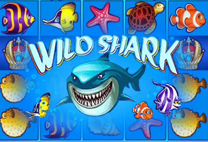 Wildshark